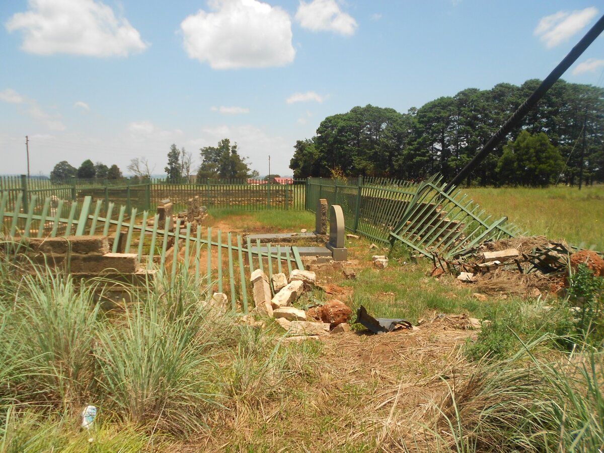 1. Overview early 2015