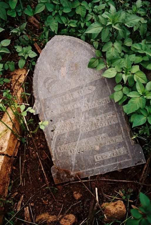 STEYN Magdalena Elizabeth nee BOTHA 1848-1913