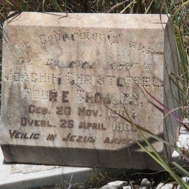 GROBLER Joachim Christoffel Fourie 1905-1906