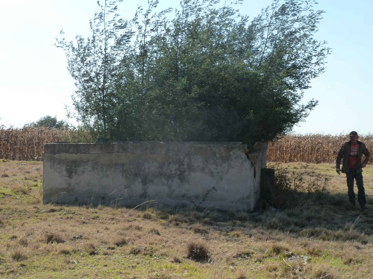 1. Overview / Oorsig