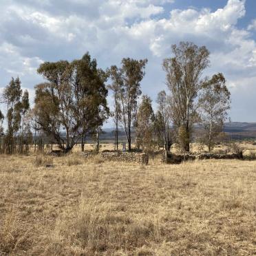 1. Overview / Oorsig