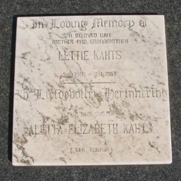 Mpumalanga, CAROLINA district, Welgevonden 412, farm cemetery_1