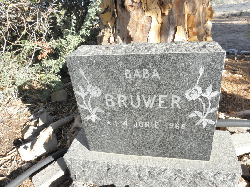 BRUWER 1968
