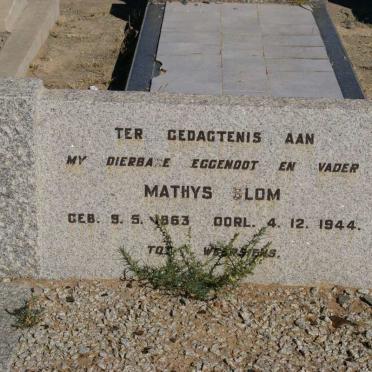 BLOM Mathys 1863-1944