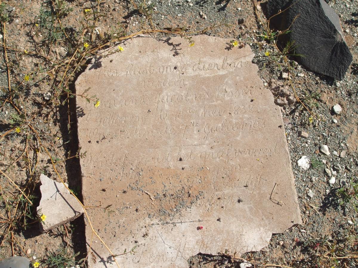 VISSER Johannes Jacobus 1838-1903