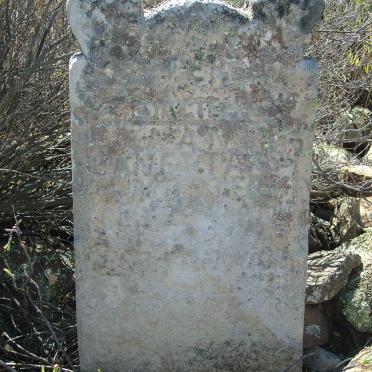 Northern Cape, CALVINIA district, Bokkeveldberge, Grasberg 642_1, Rietfontein, farm cemetery