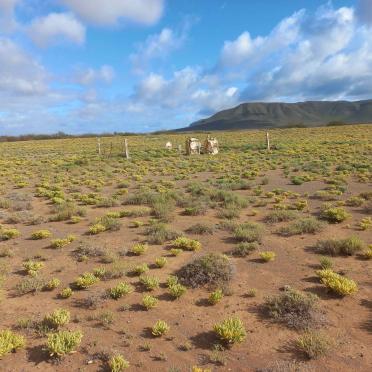 1. Oorsig / Overview