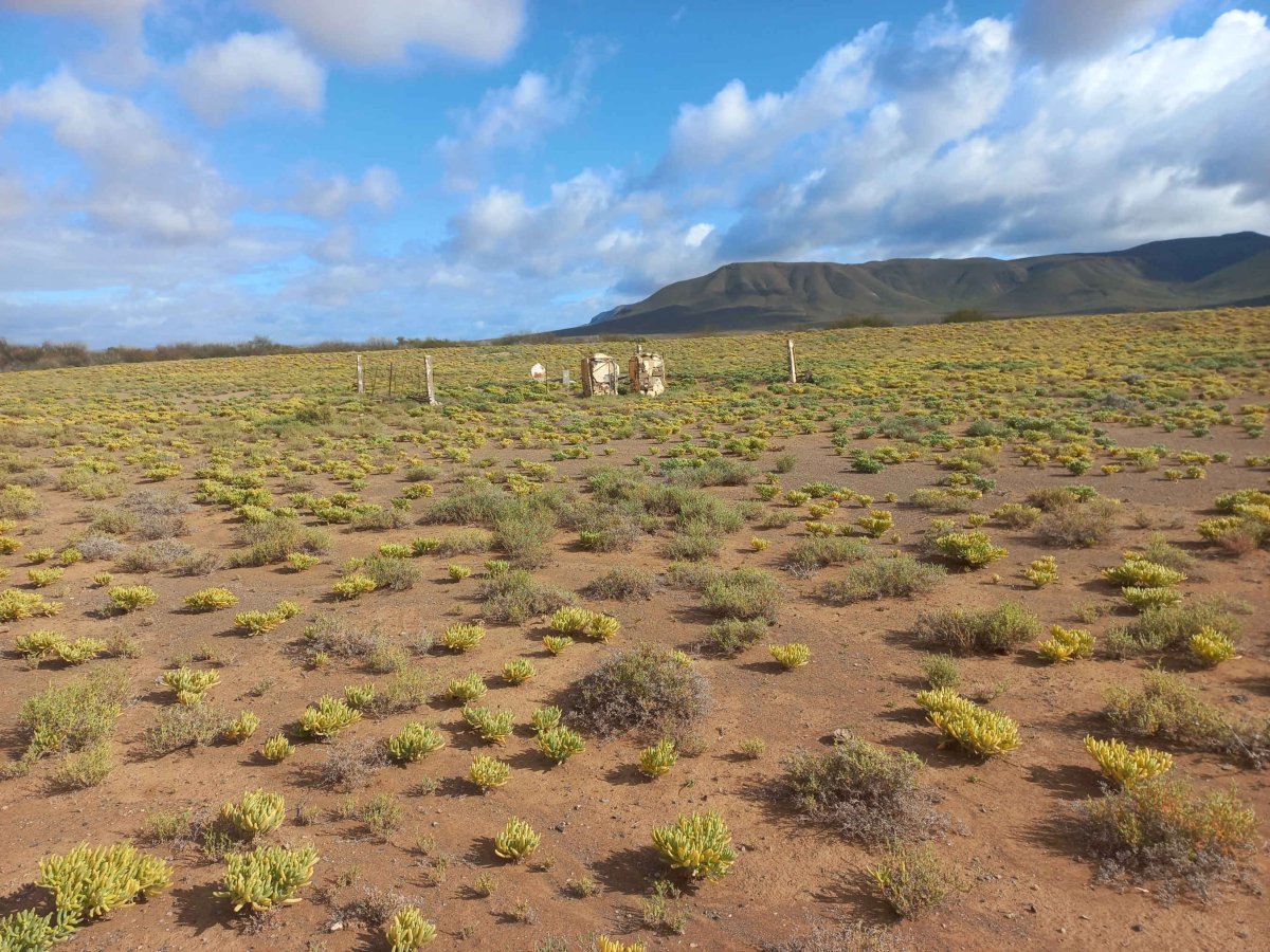 1. Oorsig / Overview