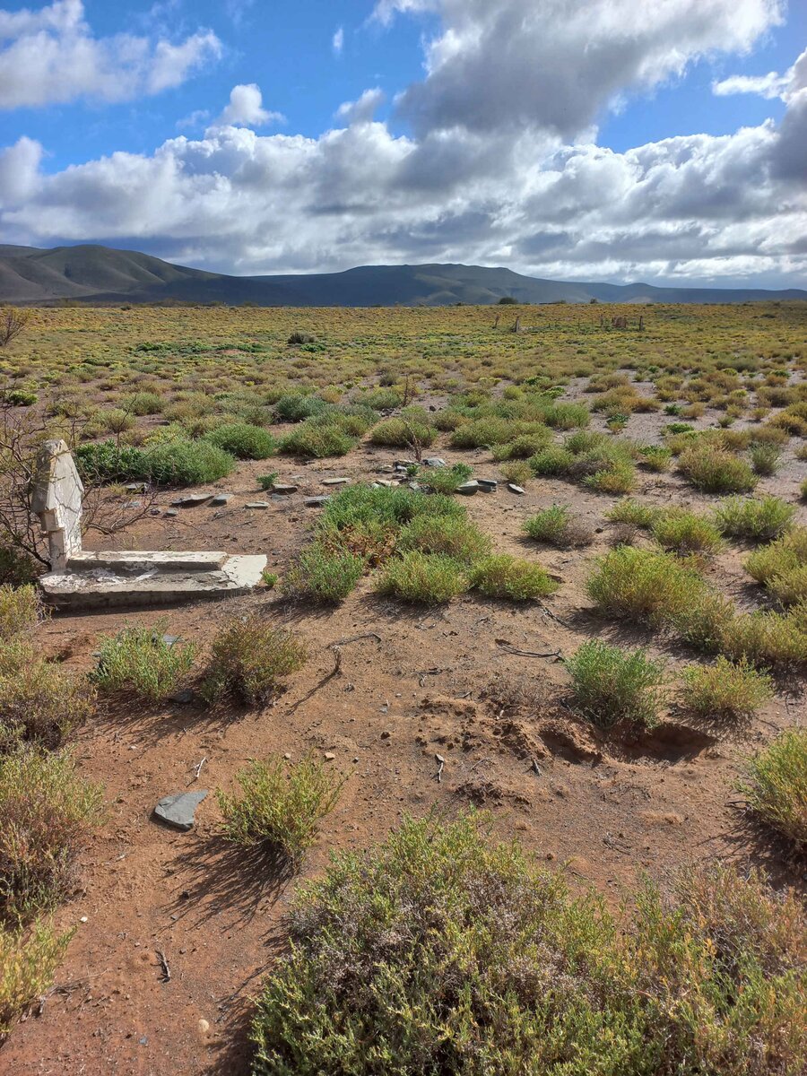 2. Oorsig / Overview