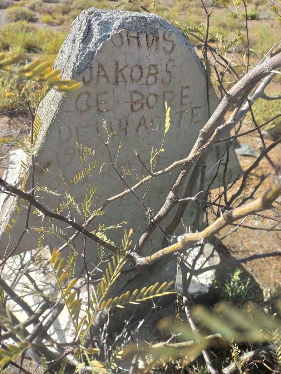 JAKOBS ?ohns 19?6-19?6