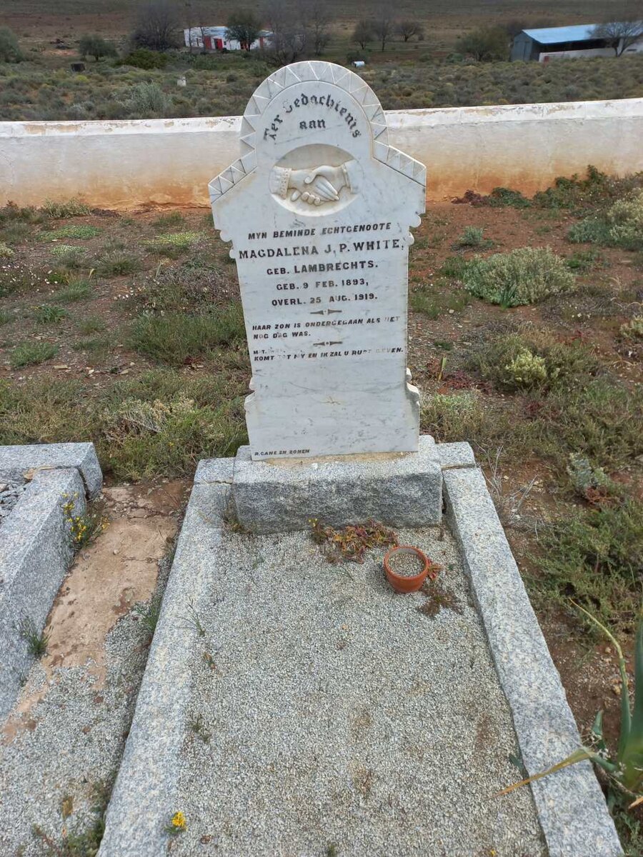 WHITE Magdalena J. P. nee LAMBRECHTS 1893-1919