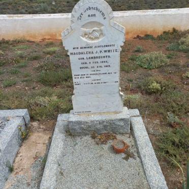 WHITE Magdalena J. P. nee LAMBRECHTS 1893-1919