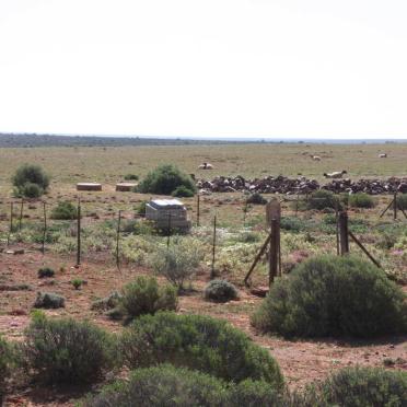 Northern Cape, CALVINIA district, Bloedzuigerfontein South 780, farm cemetery