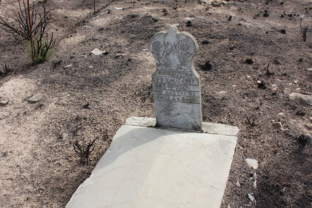 PAULSEN H.C. 1881-1955