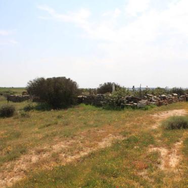 1. Oorsig / Overview