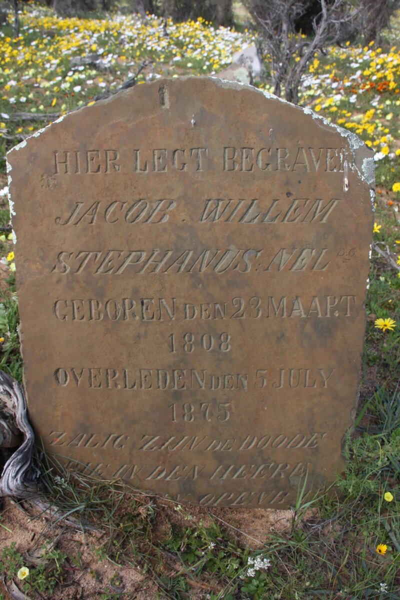 NEL Jacob Willem Stephanus 1808-1875