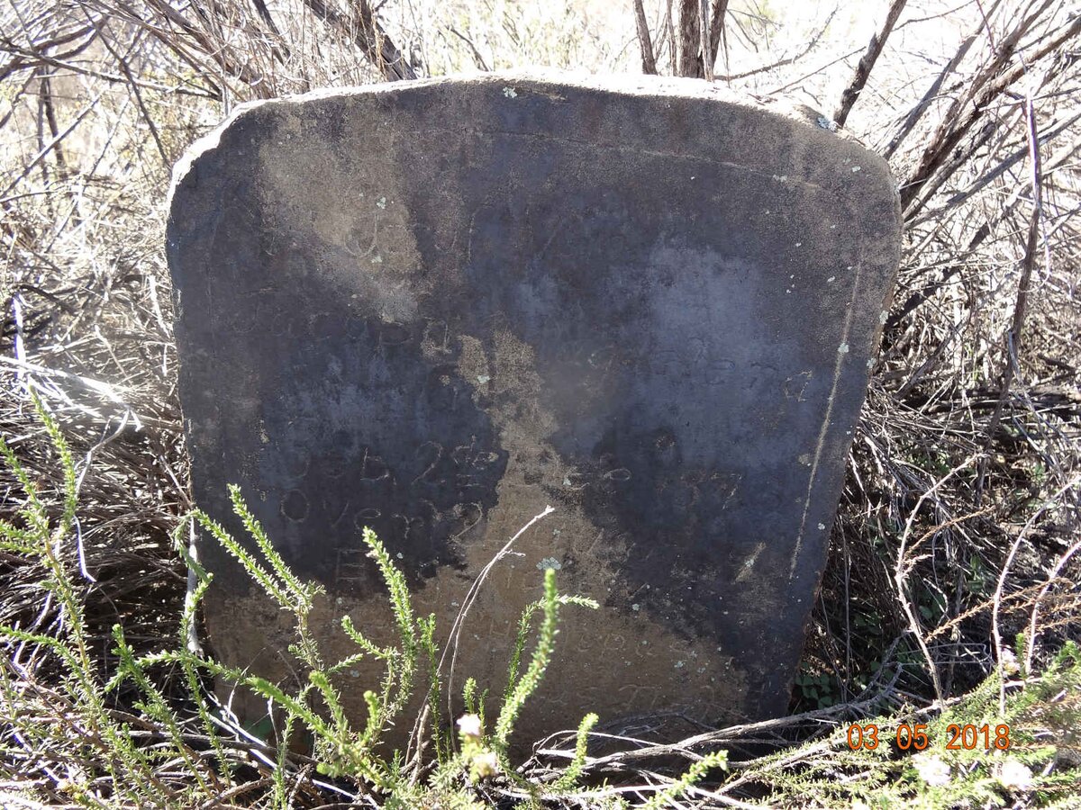 NEL Jacoba Magdalena nee STEENKAMP 1872-1929