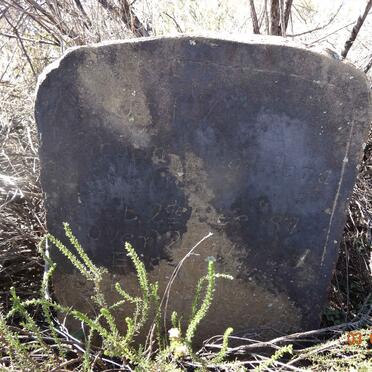 NEL Jacoba Magdalena nee STEENKAMP 1872-1929