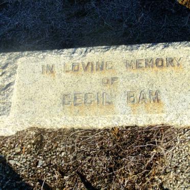 BAM Cecil