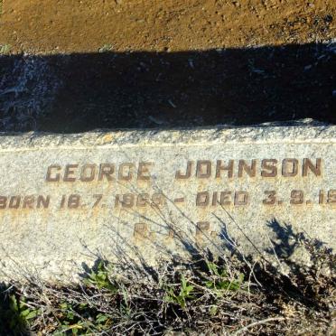JOHNSON George 1869-1958