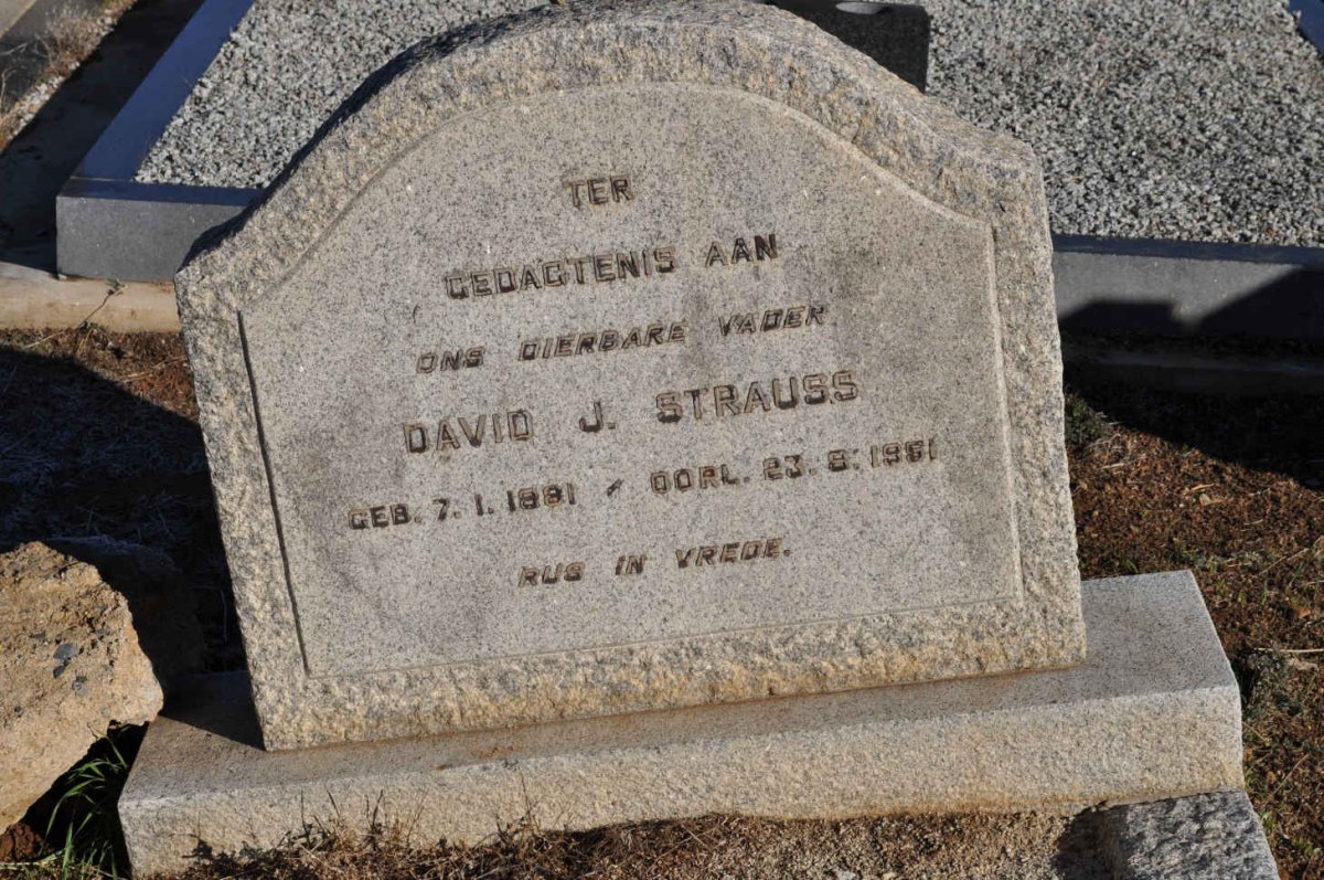 STRAUSS David J. 1881-1951