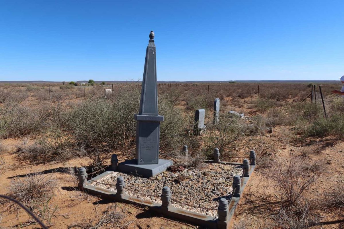 2. Wonderheuvel grafte