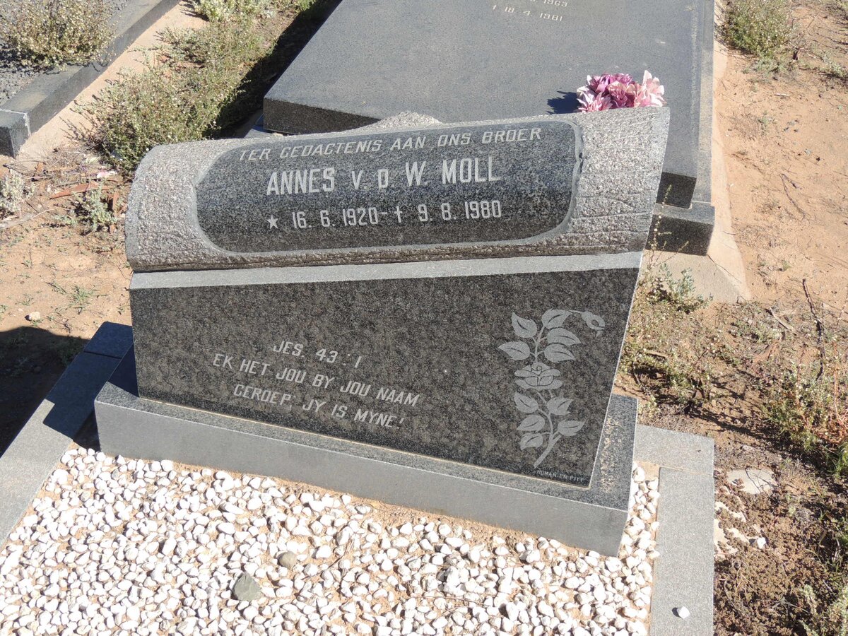 MOLL Annes v.d.W. 1920-1980