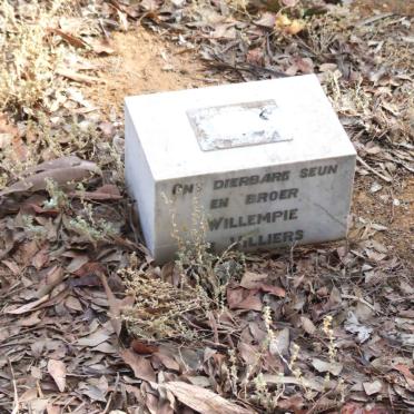 VILLIERS Willempie, de 1914-1929