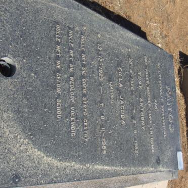 PANOS Tony Anthony 1926-1982 &amp; Cilla Jacoba JACOBS 1929-1989