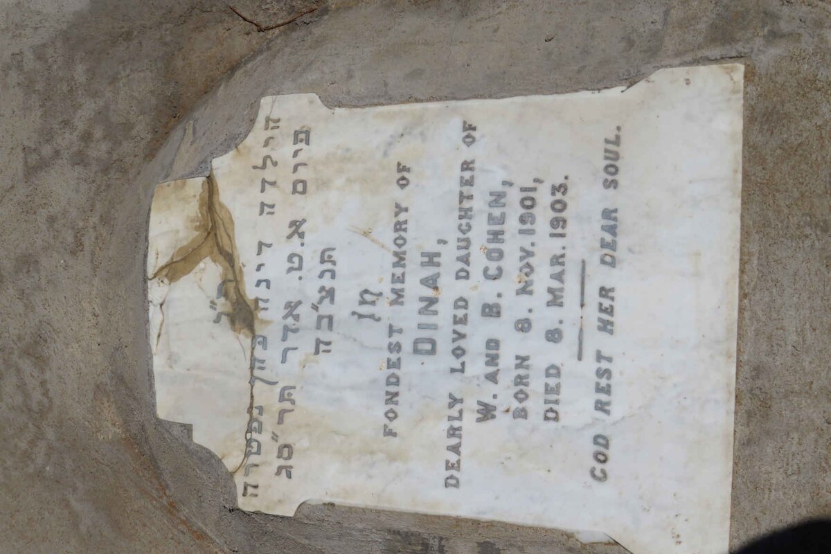 COHEN Dinah 1901-1903