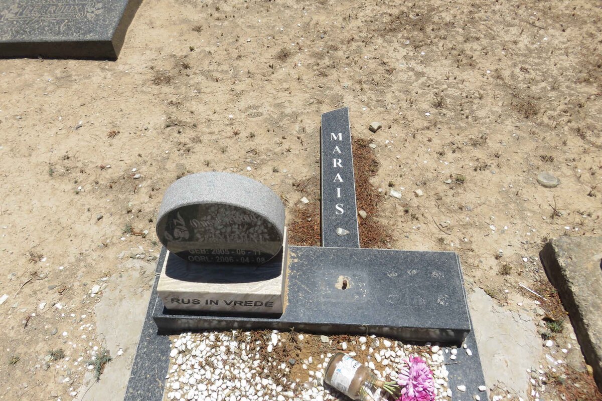 MARAIS Zinedine 2005-2006