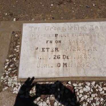 PIENAAR Pieter 1883-1942