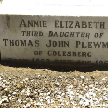 PLEWMAN Annie Elizabeth 1863-1963