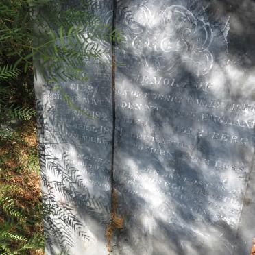 GIBBON John 1823-1861