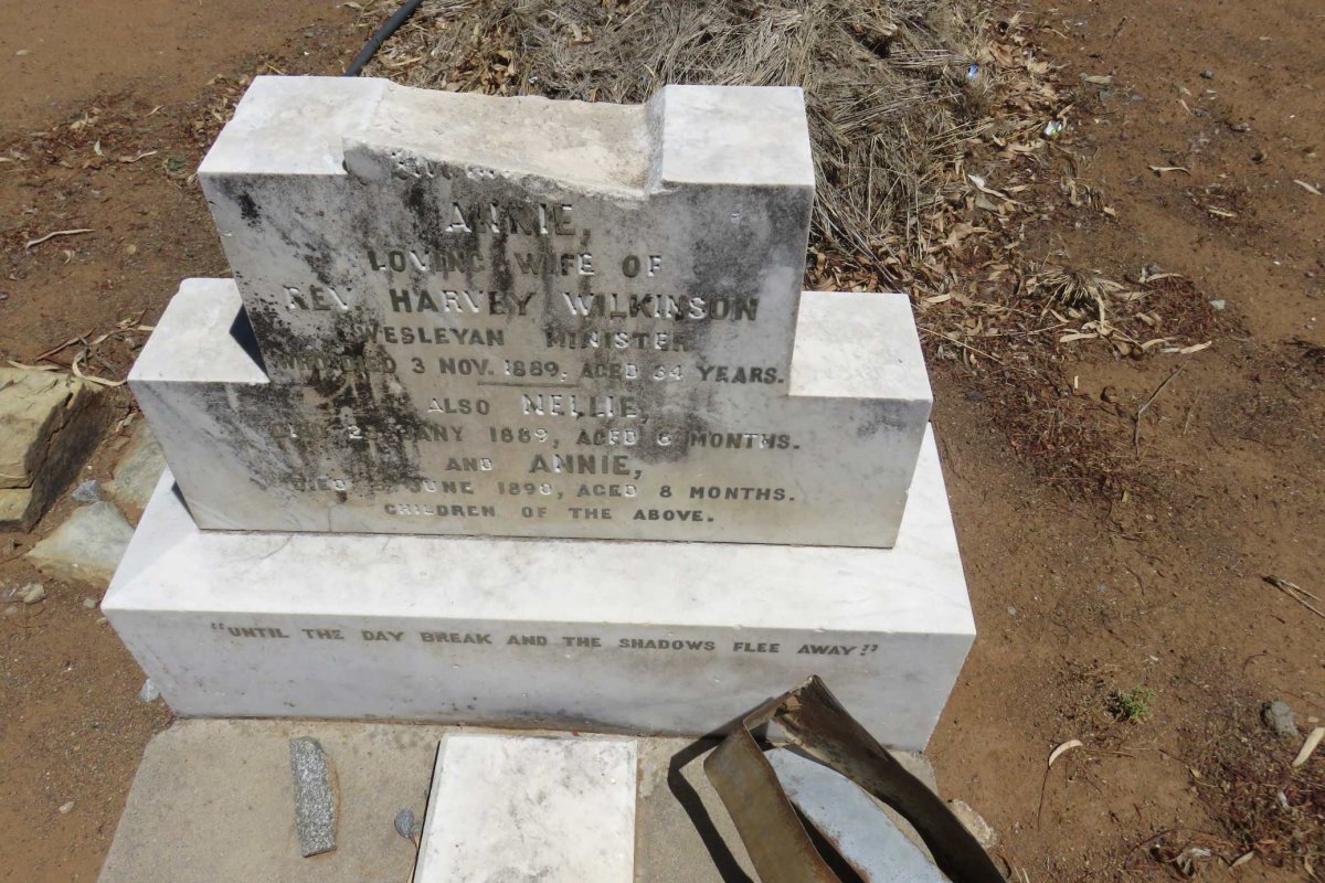 WILKINSON Annie -1889 :: WILKINSON Nellie -1889 :: WILKINSON Annie -1890