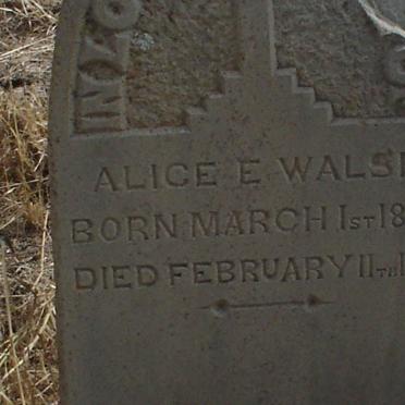WALSH Alice E. 1882-1883