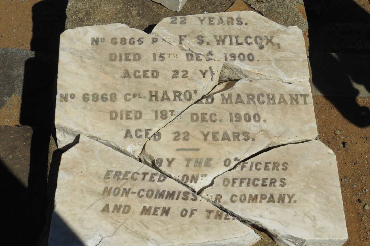 WILCOX F.S. -1900 :: MARCHANT Harold -1900