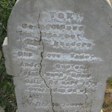 GOUS Andries Gustaa? Stephanus 187?-