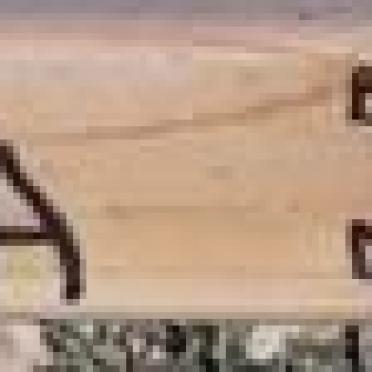 TITIES Martha 1965-2017