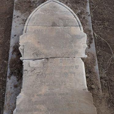 HOFFMANN Samuel 1888-1921