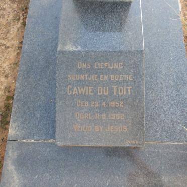 TOIT Gawie, du 1952-1952