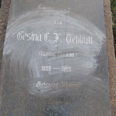 TEBBUTT Gesina C.F. nee CILLIERS 1888-1959