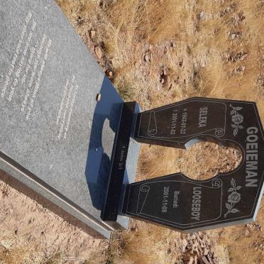 GOEIEMAN Seleka Looseboy 1942-2001