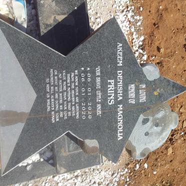 PRINS Akeem Denisha Magnolia 2020-2020