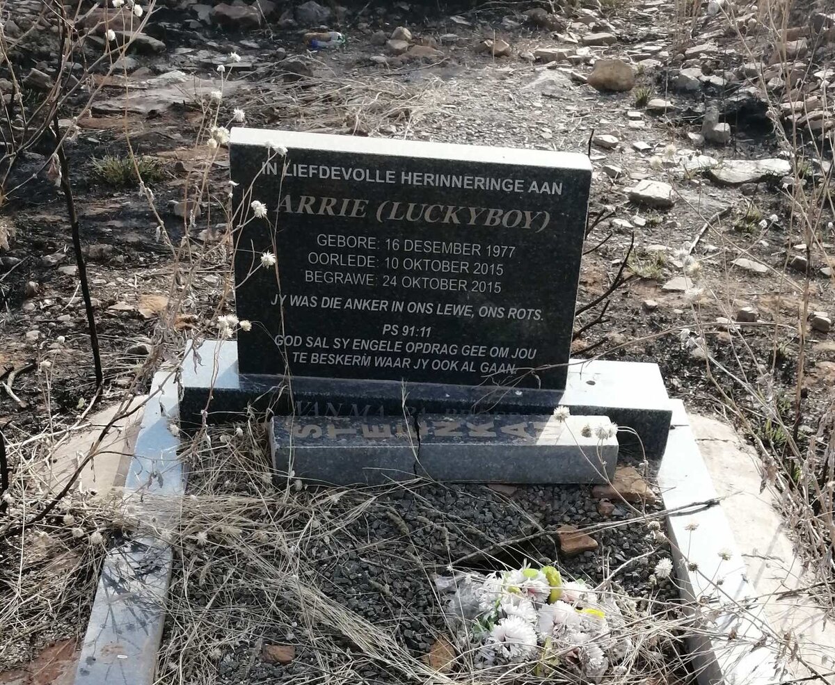 STEENKAMP Arrie 1977-2015