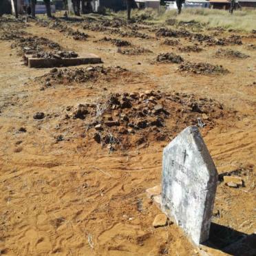 4. Overview / Oorsig