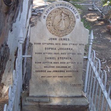 HODGSON John James 1878-1878 :: HODGSON Sophia Johanna 1880-1881 :: HODGSON Daniel Stephen 1889-1890