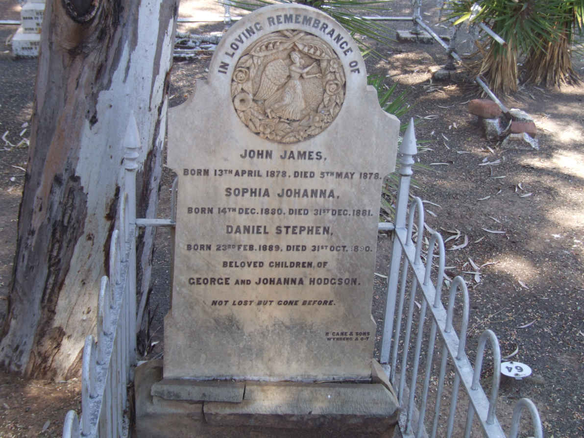 HODGSON John James 1878-1878 :: HODGSON Sophia Johanna 1880-1881 :: HODGSON Daniel Stephen 1889-1890