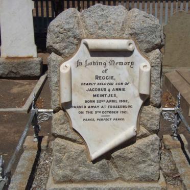 MEINTJES Reggie 1902-1921
