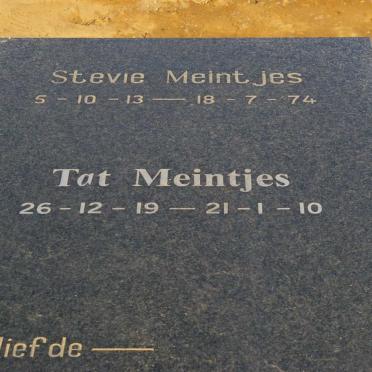 MEINTJES Stevie 1913-1974 &amp; Tat 1919-2010
